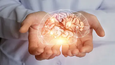 Vücudun en gizemli organı: Beyin