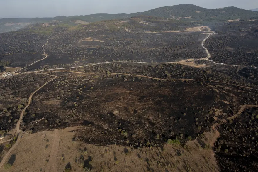 Ankara’daki yangın Bolu’ya sıçradı:Yangınla ilgili 1 kişi tutuklandı 8
