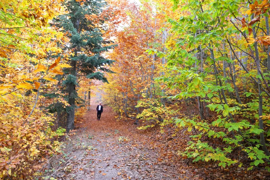 Kahramanmaraş'taki Akifiye Yaylası'na sonbaharın renkleri hakim oldu 3