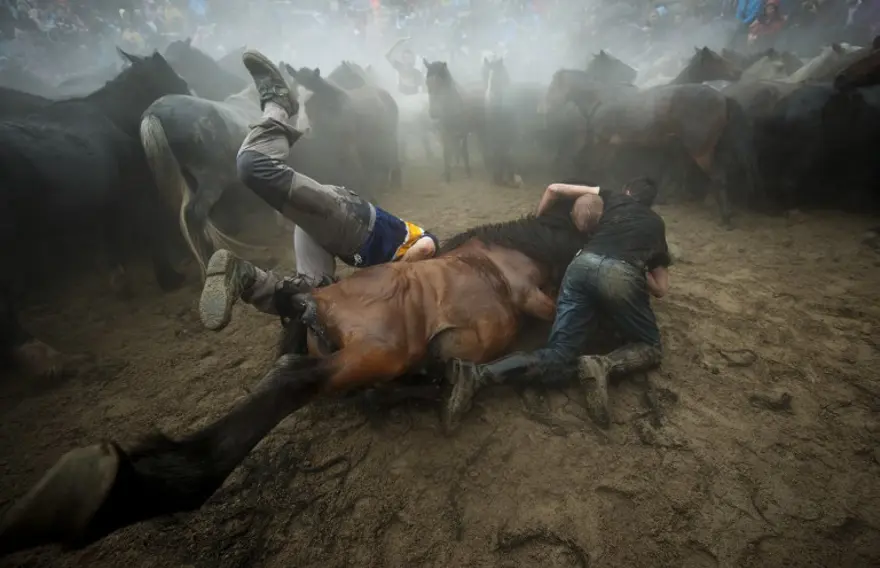 AFP'nin objektifinden 2014 20
