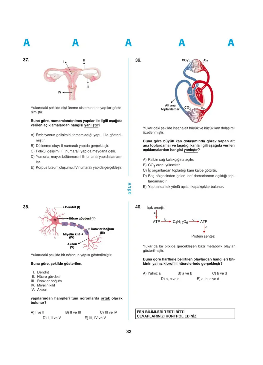 Uğur Okulları YKS - AYT deneme sınavı 31 Uğur Okulları YKS - AYT deneme sınavı 31