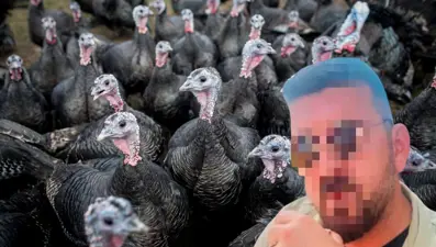 Ankara'da 50 milyonluk vurgun! Çiftlik Bank'tan sonra şimdi de Hindi çiftliği