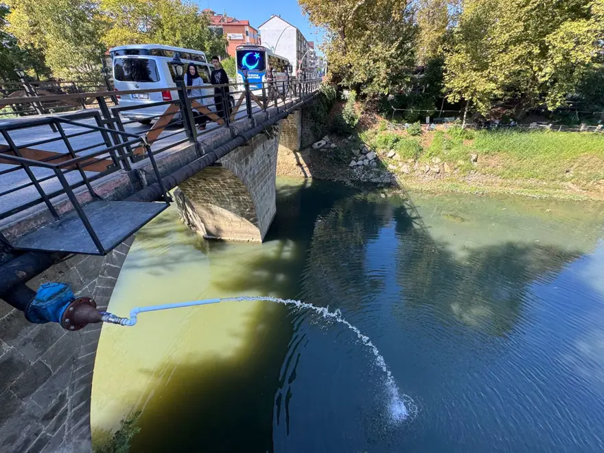 Bartın Irmağı'nda balık ölümleri 5