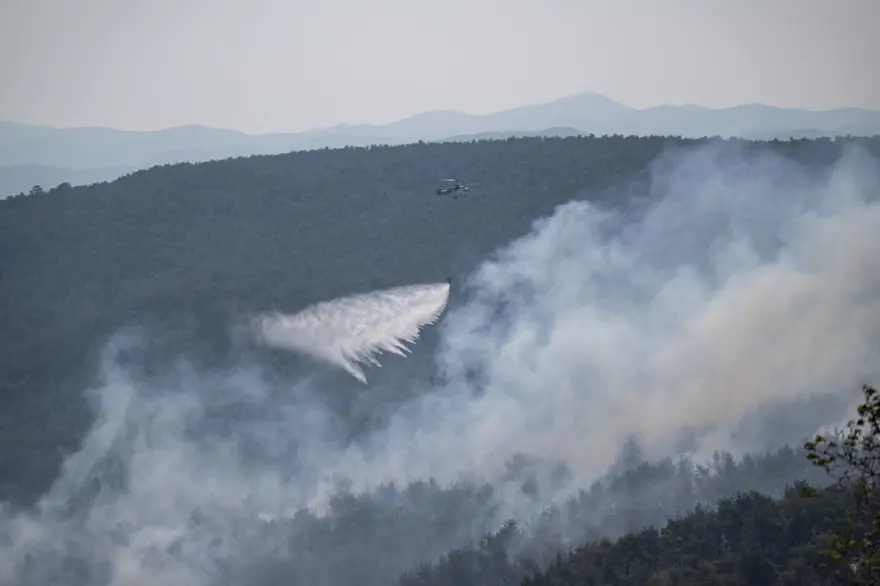 Çanakkale'de orman yangını kontrol altında 51