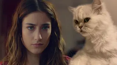 Hazal Kaya'dan 12 yıllık kedisi Leyla'ya veda: Sadece ağlıyorum