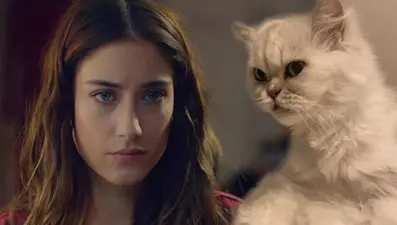 Hazal Kaya'dan 12 yıllık kedisi Leyla'ya veda: Sadece ağlıyorum