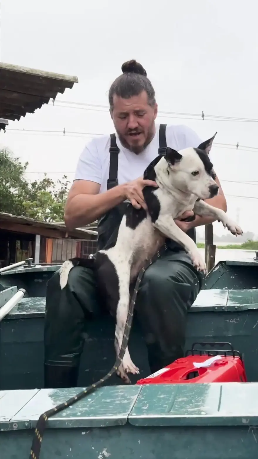 Brezilya'da sel felaketi: Milletvekili ve meclis üyesi, yüzlerce hayvanı selden kurtarıyor 1