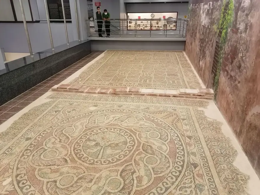 1800 yıllık elma mozaiği sergilenmeye başladı 8 1800 yıllık elma mozaiği sergilenmeye başladı 8