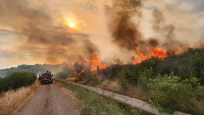 Çanakkale'de otluk alanda yangın