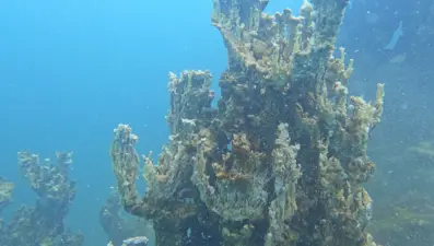 Van Gölü’nde bulundu: Yeni keşfedildi, 70 metrelik