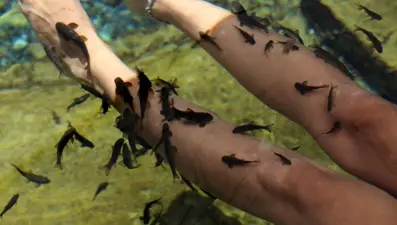 Sivas'ın dünyaca ünlü Kangal Balıklı Kaplıcası