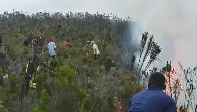 Kilimanjaro'daki yangını 500 gönüllü söndürmeye çalışıyor