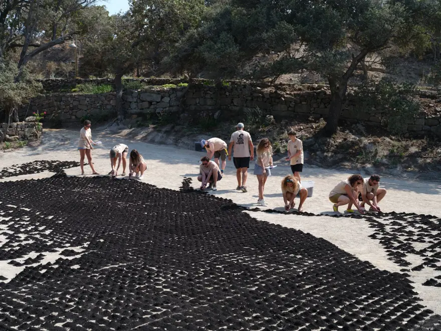 Aşık Veysel'in vefatının 50. yılında Bodrum'da dev portresi yapıldı 2