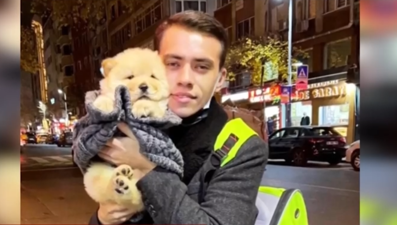 Sarıyer'de ev sahibi dehşeti: Kiracının köpeğine dayak iddiası