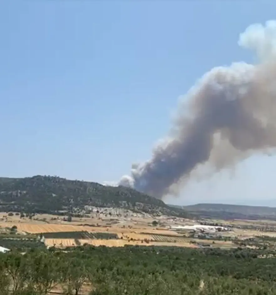 İzmir'de orman yangını: Dört şüpheli gözaltında 8