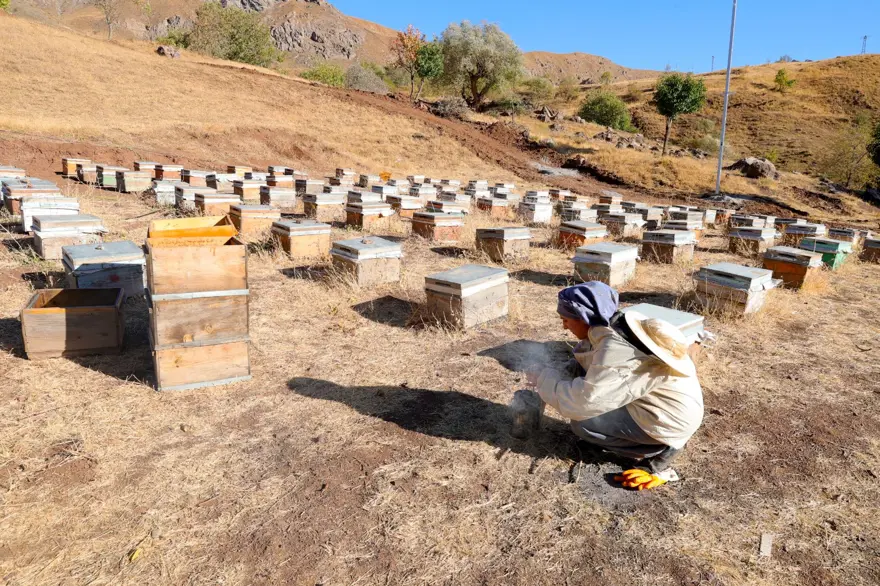 Şehirden köyüne döndü: Bu sezon 1 ton üretti 1