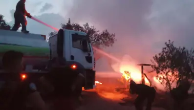 Ayvalık'ta ormanlık alanda baraka yangını