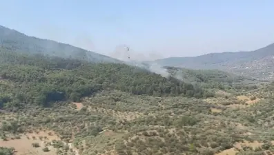 İzmir'de korkutan orman yangını