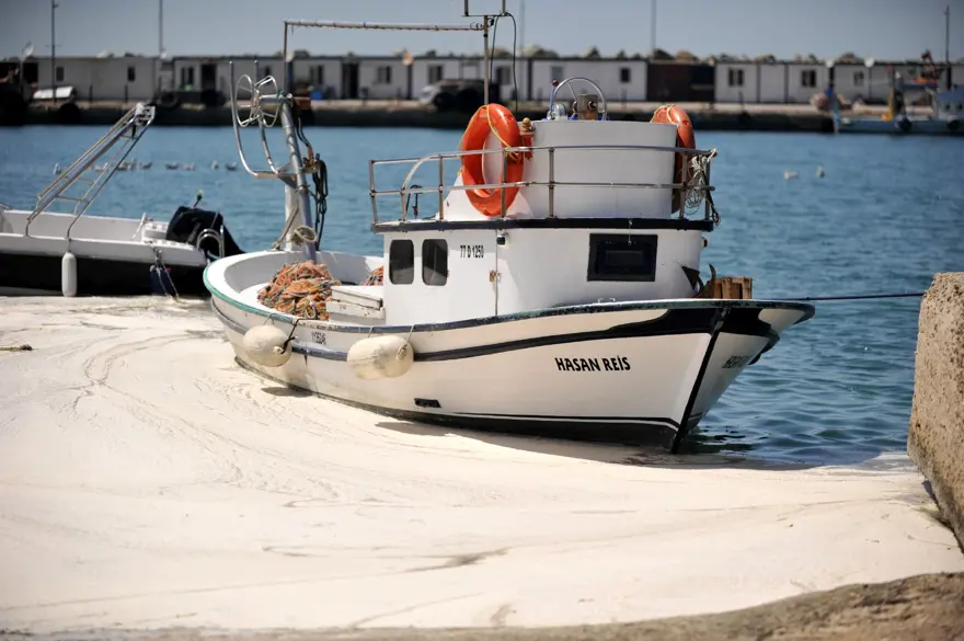 Çınarcık sahilini kaplayan deniz salyası, rüzgarla dağıldı 6