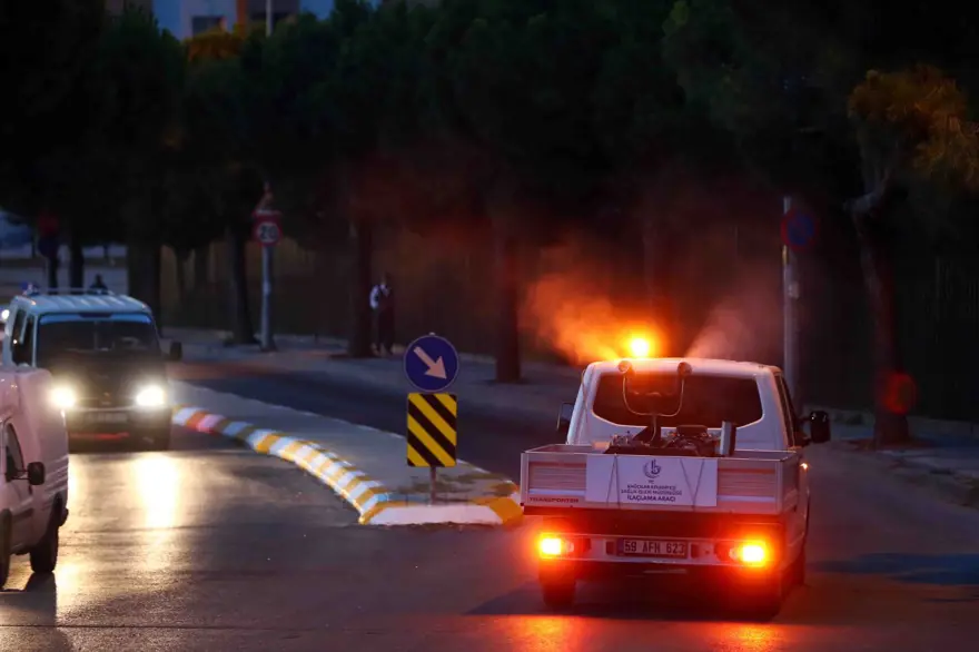 İstanbul'da 'Aedes' cinsi sivrisinekle mücadele 