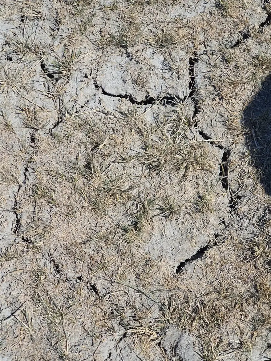 Konya'daki araştırmaya göre, vahşi sulama Akşehir ve Eber göllerini yok edebilir 11