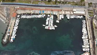 5 soruda Marmara Denizi'nde deniz salyası (müsilaj) tehlikesi