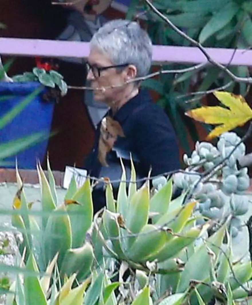 Carrie Fisher ve Debbie Reynolds'a Hollywood yıldızları böyle veda etti 12