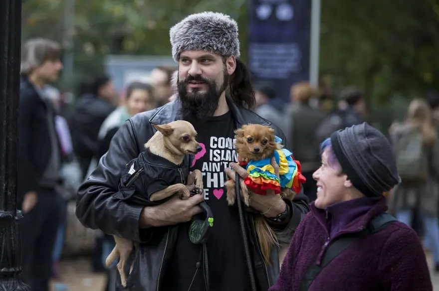 Köpeklere özel Cadılar Bayramı 31