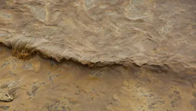 Karataş sahilindeki kirliliğin sebebi ortaya çıktı: 'Organik kirlilik'