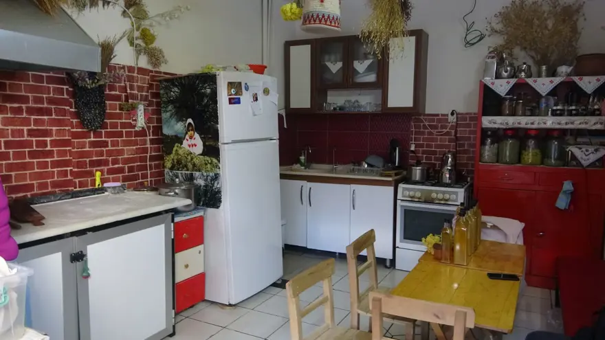 "BÜTÜN BUNLARI KENDİ KÖYÜMDE YAPIYORUM" 5