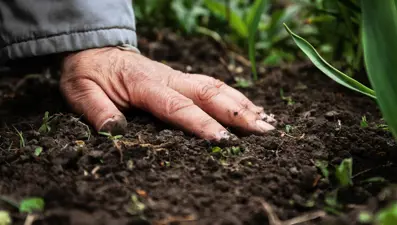 Bilim insanları, toprağın derinliklerinde gizemli yeni yaşam formları keşfetti