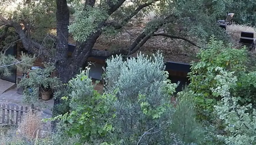 Mehmet Akif Alakurt'un yeni hayatı: Köyde tek başına 1