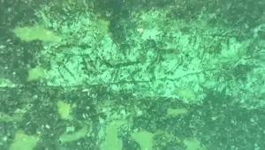 Adıyaman'da 12 bin yıllık kaya resimleri su altında bulundu