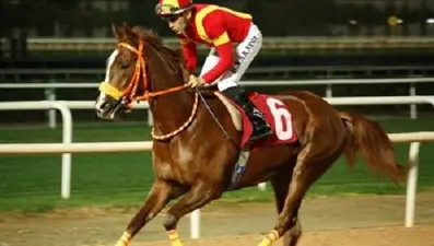 Attan düşen jokeyler yaralandı