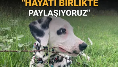 4 Ekim Hayvanları Koruma Günü mesajları: "Mutlu anılarımızda, yaşamın özünde, doğanın bütününde onlar da var"