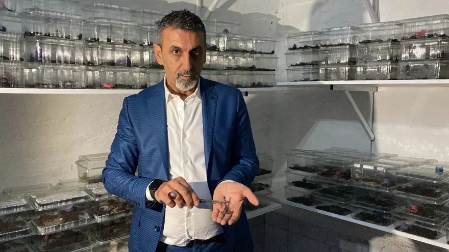 16 yaşında karar verdi şimdi 3 bin adet mavi akrep yetiştiriyor: "Başta korktum, sonra alıştım" 6