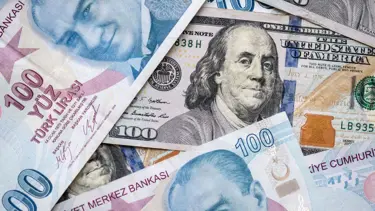 Dolar bugün ne kadar? (14 Şubat 2024 dolar kuru fiyatları)