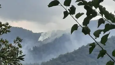 Yıldırım orman yangını çıkardı