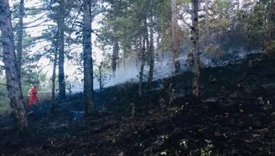 Kütahya'da ormanlık alanda yangın