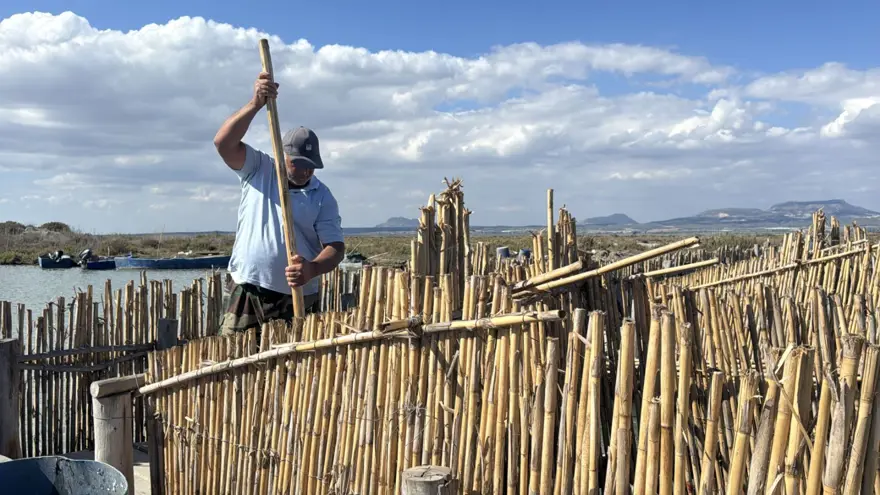 Adana'daki dalyanlardan avlanıyor: Besin değeri çok yüksek, sofralarda yerini alıyor 2