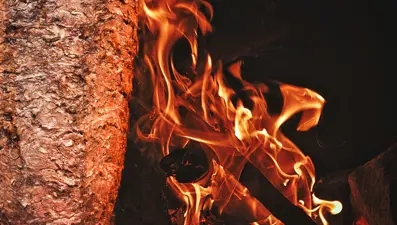 Türk dönerinin "Geleneksel Ürün Adı" tescili için AB Komisyonu'na başvuruldu