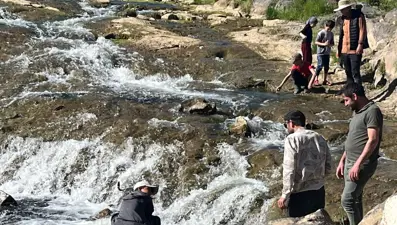 İnci kefalinin göçü turistlerin ilgi odağı oldu: Binlerce kilometreyi aşıp geldiler