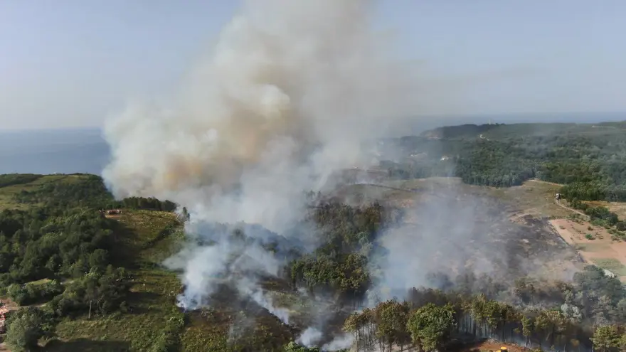 İstanbul Beykoz'da iki ayrı noktada orman yangını 1