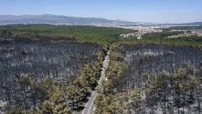 Buca'nın iki katı alan yandı