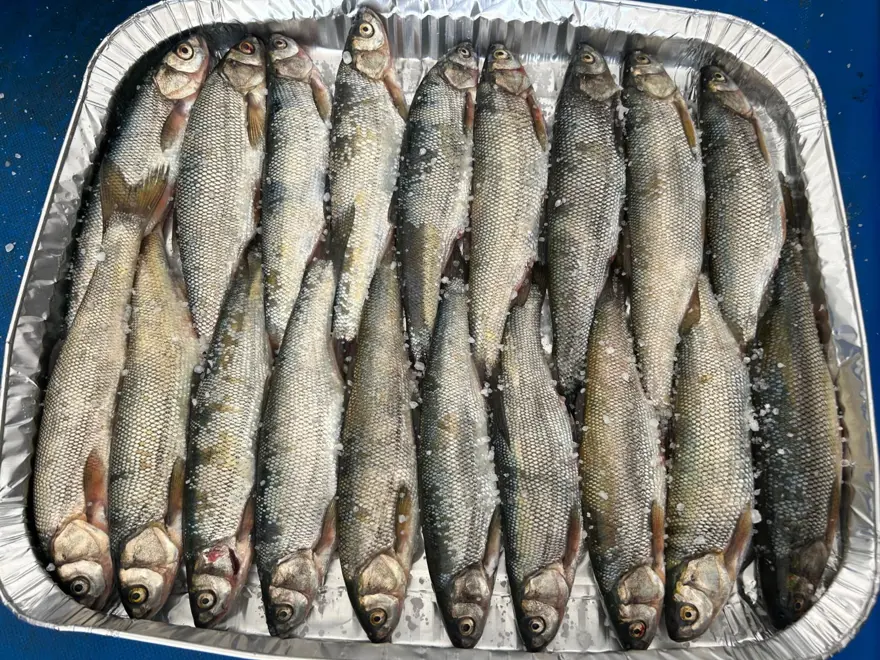 Tezgahta yerini aldı: Bu yıl fiyatı değişmedi 1 Tezgahta yerini aldı: Bu yıl fiyatı değişmedi 1