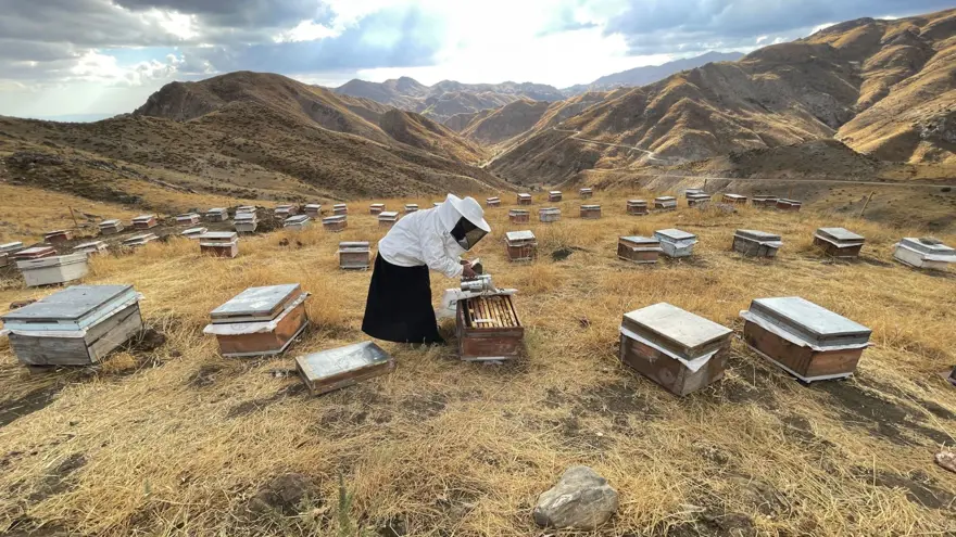 8 yıl önce başladı, 30'dan 300'e çıkardı: Şimdi 4 ton üretiyor 2