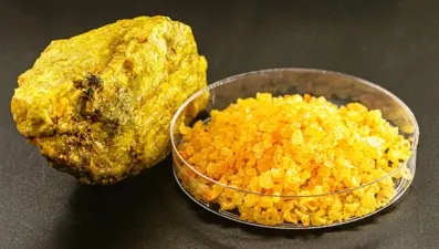 Uranyum yemek insan vücuduna ne yapar?