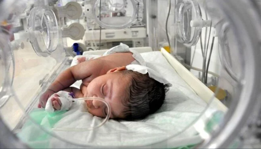 YENİDOĞAN BEBEK ÇETESİ NASIL ÇALIŞTI? 1