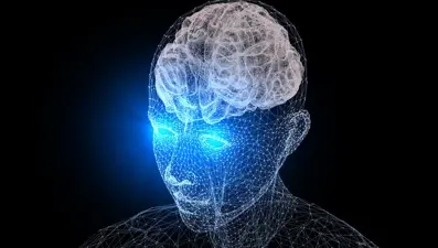 Loş ışık beyin yapısını değiştirebilir