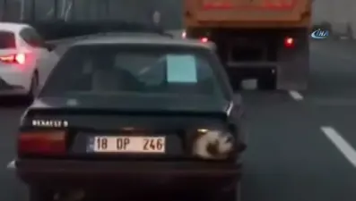 Stop lambası yerine köpek kafası